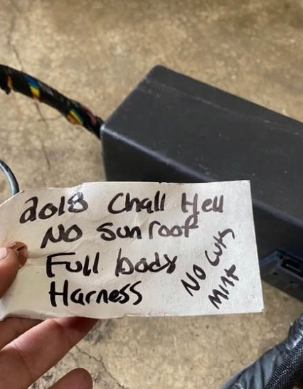 2018 Dodge Challenger Hellcat Full Body Harness - Image 2